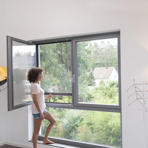 Insektenschutz für Fenster​ 2